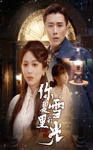 你是雪里的光（64集）最火短剧热播
