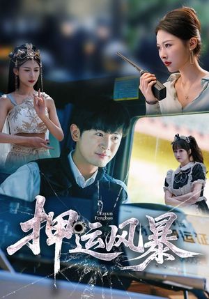 押运风暴（56集）夸克网盘在线看