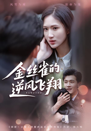 金丝雀的逆风飞翔（80集）逆袭短剧