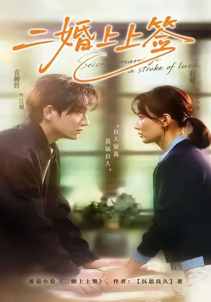 二婚上上签里谁最出彩?看二婚众生相,酸甜苦辣全都有 二婚上上签(71集)逆袭短剧