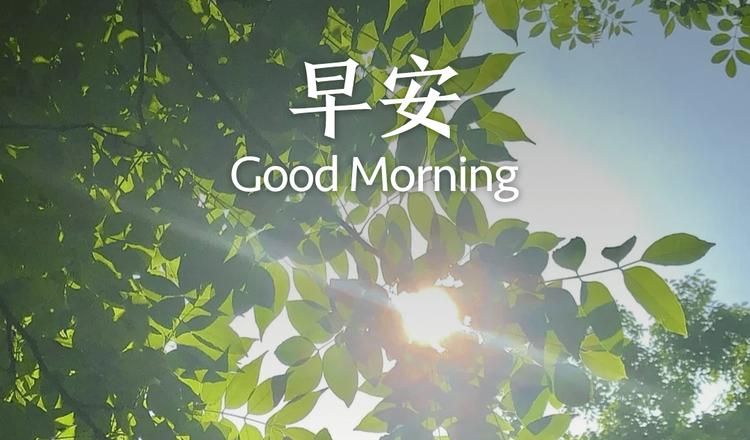 地强星_慢慢地强烈地_他强烈地感应到什么意思