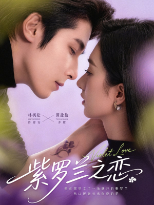 短剧紫罗兰之恋全集免费观看,紫罗兰情82集看不停 紫罗兰之恋(82集)甜宠短剧